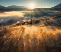 今晚足球比分表-探秘今晚足球比分表，激情与悬念的交织之夜